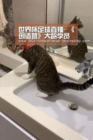 世界杯足球直播-《创造营》大龄学员回忆杀 却不敌红了30年的郭富城苏有朋(图2) 世界杯足球直播