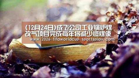 (12月24日)成飞公司工业锅炉煤改气项目完成每年将减少燃煤使用近4万吨“世界杯赛事直播”(图2) 世界杯赛事直播